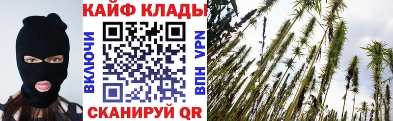 Как найти закладки Гусев Галлюциногенные грибы  Меф  Марихуана  ТГК  Амфетамин  СК 