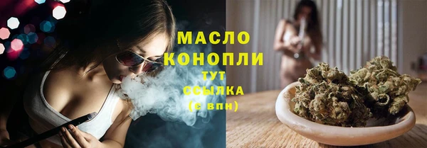 дживик Краснослободск