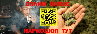 мет Бийск