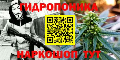 стаф Будённовск