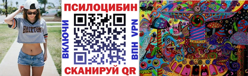 Галлюциногенные грибы Psilocybine cubensis  Гусев 