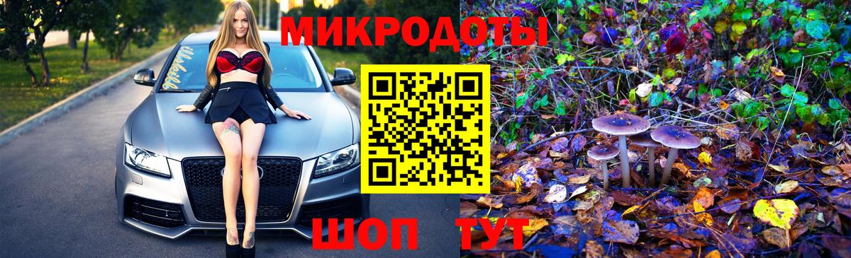 Псилоцибиновые грибы мухоморы Гусев