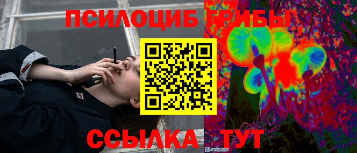 Псилоцибиновые грибы Psilocybine cubensis  Галлюциногенные грибы Cubensis  Гусев  Вход с VPN 