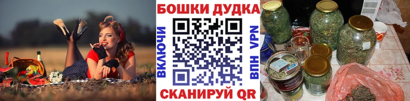 Каннабис сатива  Гусев 